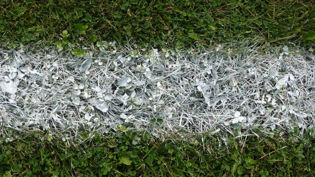 codacons tor sapienza