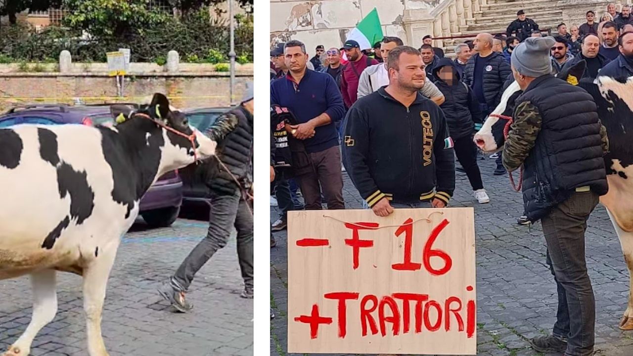 Agricoltori in Campidoglio con la mucca Ercolina: annunciate 5 giornate di mobilitazione nazionale