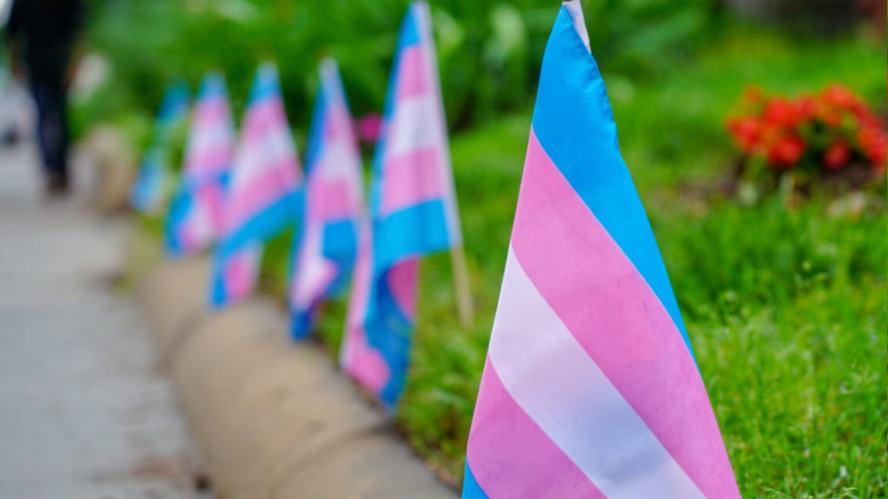 disforia di genere gemelli