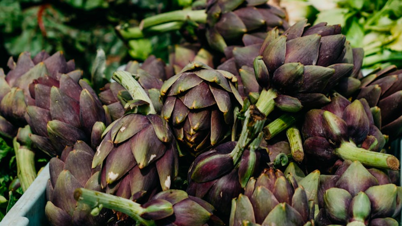 Roma, dal 12 aprile torna a Ladispoli la sagra del carciofo romanesco: il programma