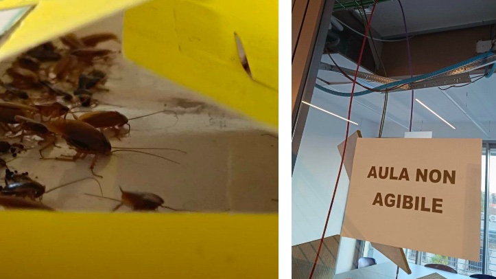 Roma, studenti denunciano: residenze universitarie da incubo 