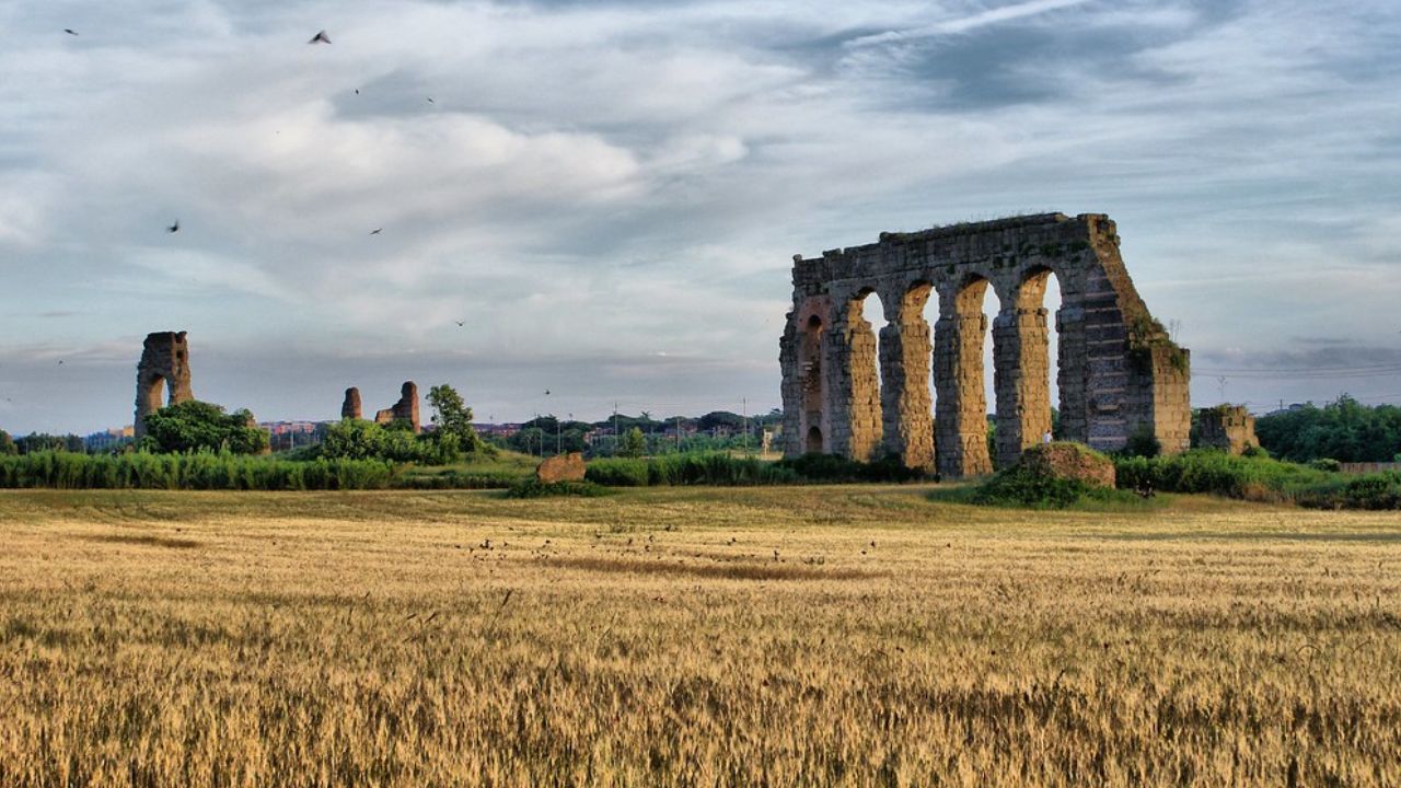 settore agricolo roma convegno