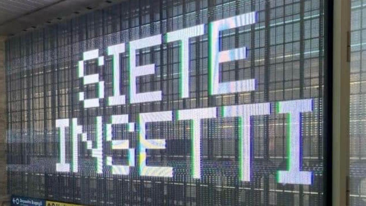 siete insetti problema 3 copri roma termini tiburtina