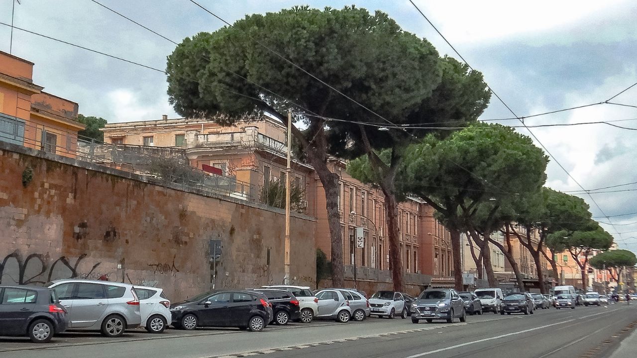 albero policlinico