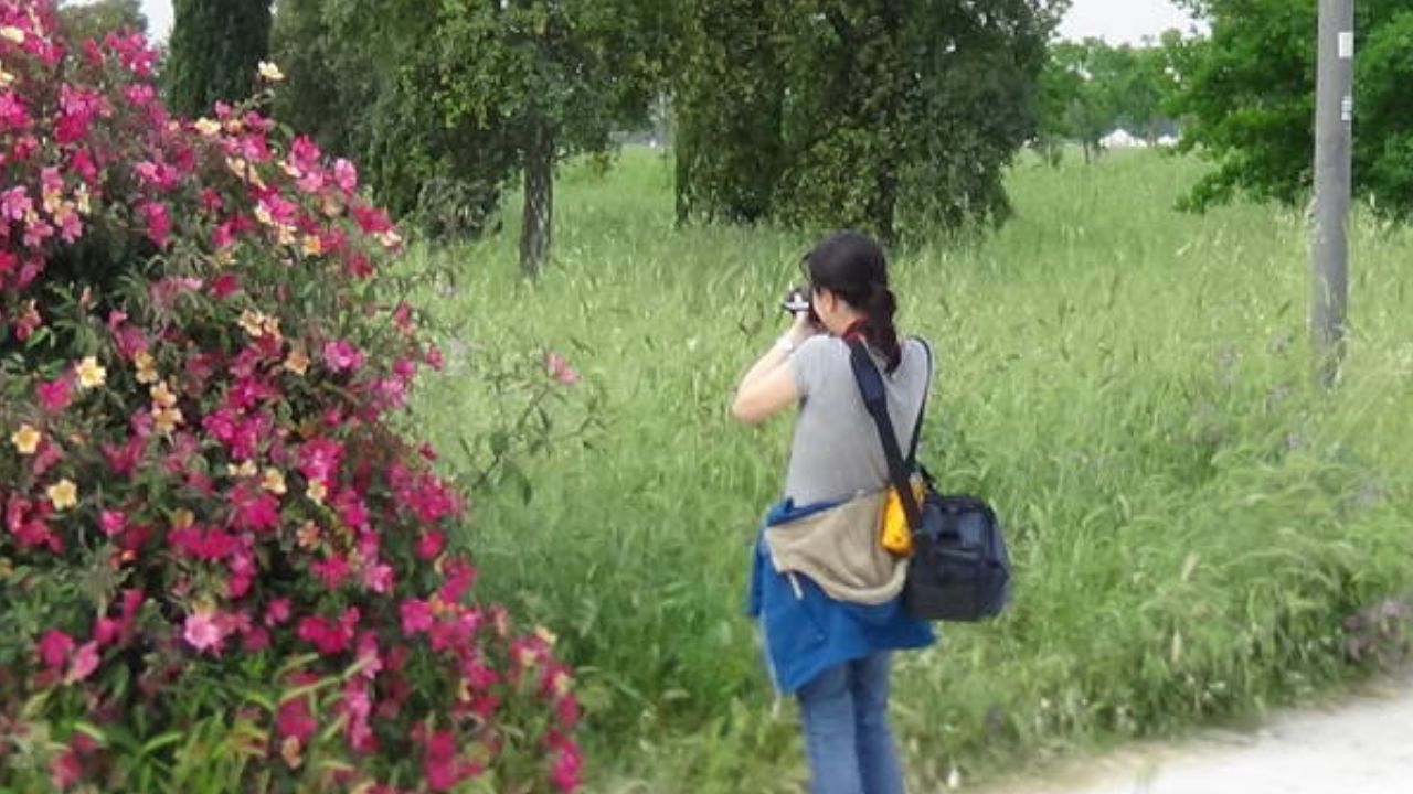 city nature challenge