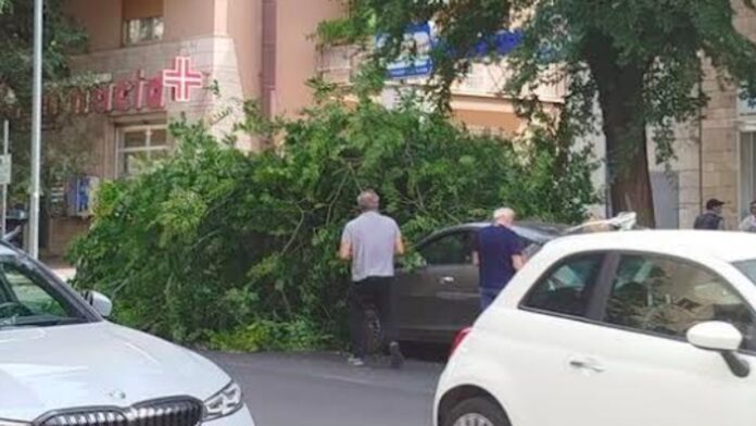 Roma, albero si spezza e crolla su auto a Monteverde: danni ma nessun ferito