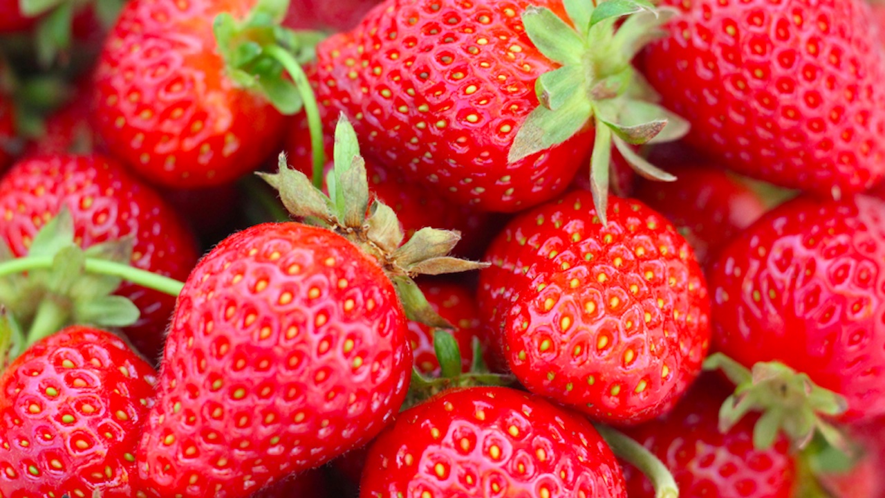 Anticipo della sagra delle fragole nel cuore di Roma: le 'fragolare' di Nemi a piazza di Spagna