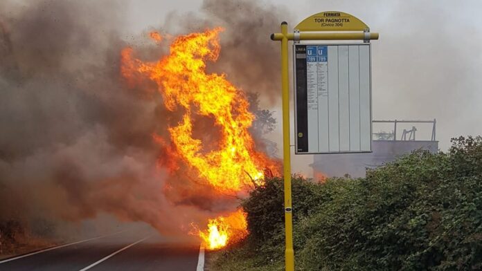 incendio tor pagnotta